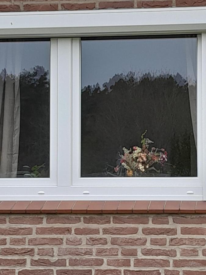 Apartmán Tannenquartier - Ihr Ferienhaeuschen Groß Grönau Exteriér fotografie